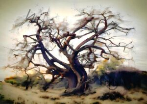 Twisted Sunlit Baobab | Digital Art Print