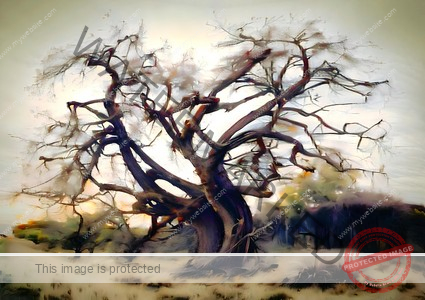 Twisted Sunlit Baobab | Digital Art Print
