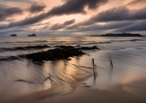 Hamelin Bay Dusk | Moody Sunset Reflections Art