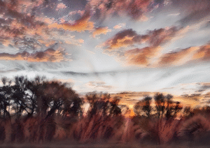 Autumn Sunset Silhouettes | Tranquil Evening Print