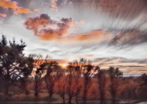 Sunset Radiance | Autumn Silhouette Digital Print