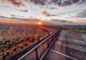 Pathway to Sunset | Golden Horizon Digital Art Print