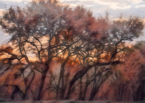 Autumn Trees Misty Woodland Glow Digital print