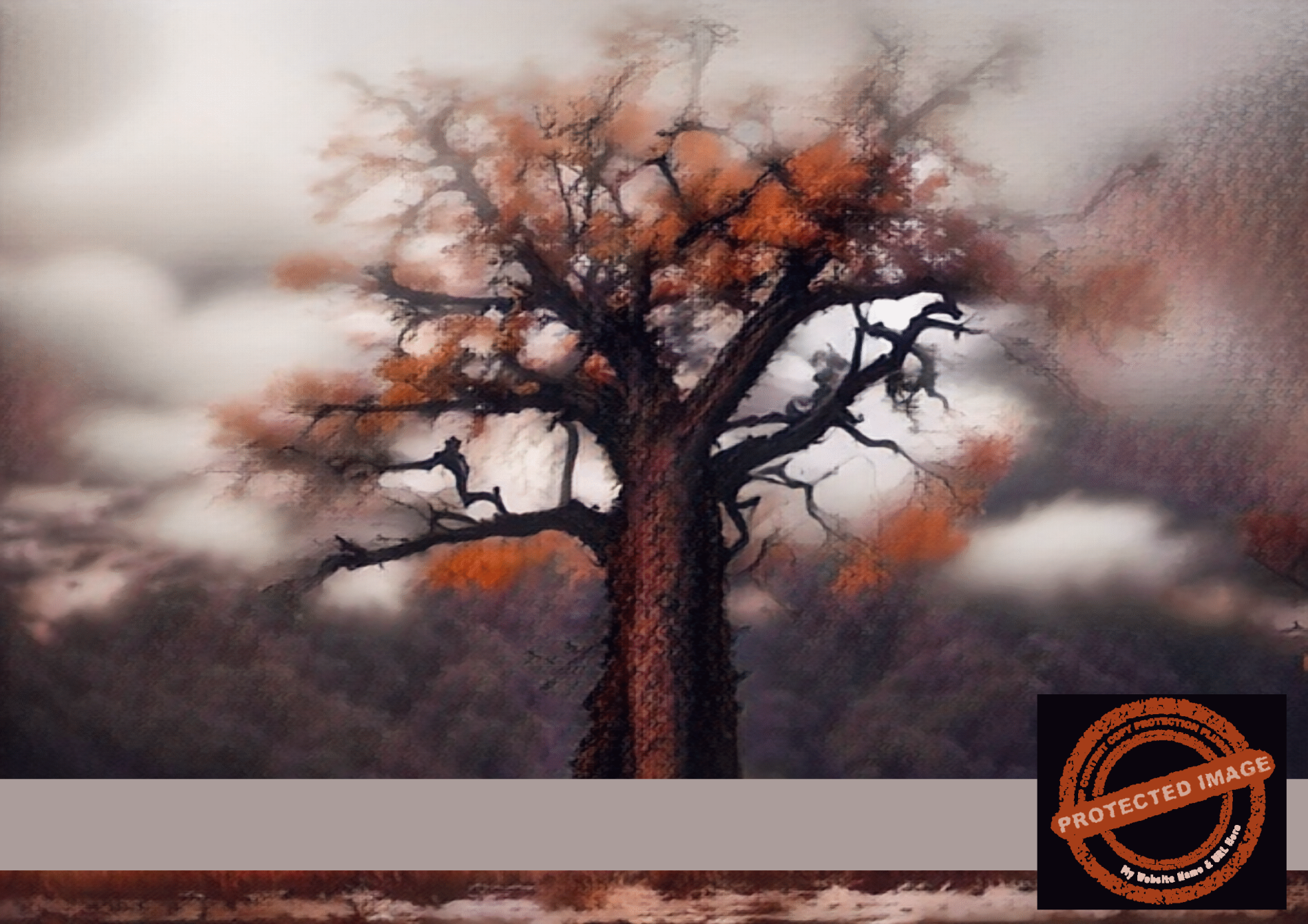 Solitary Autumn Baobab | Misty Tranquility Art Print