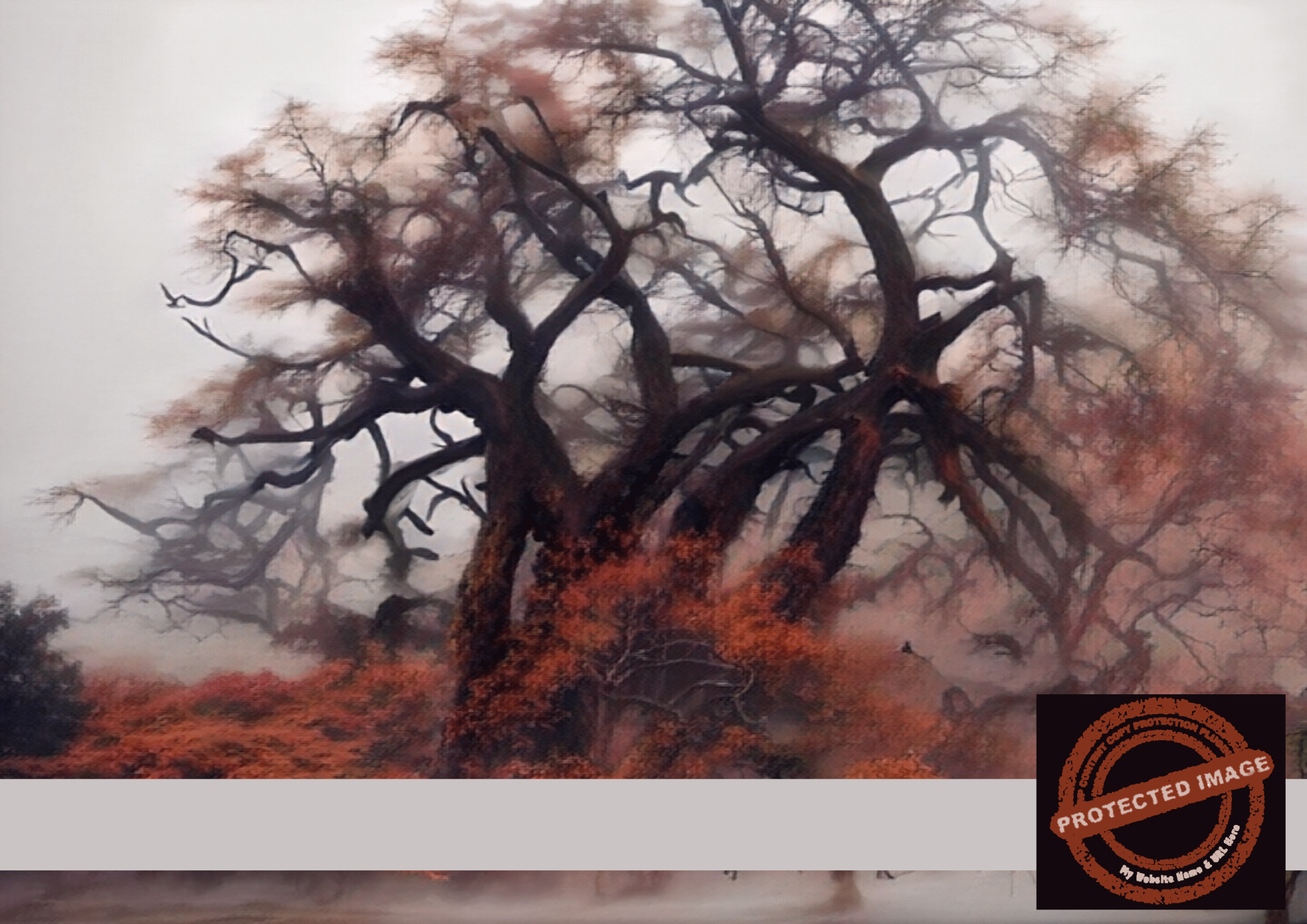 Twisted Mist Baobab | Enchanted Autumn Digital Art