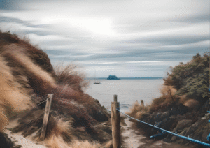 Hamelin Bay Pathway | Coastal Mood Digital Print