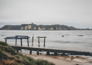 Hamelin Bay Remnants | Coastal Heritage Digital Art