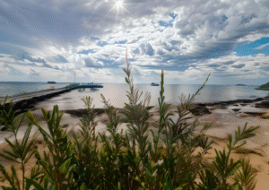 Leeman Jetty Sunburst | Western Australia Coast Art