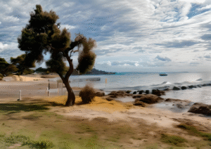 Leeman Calm | Western Australia Beach Digital Art
