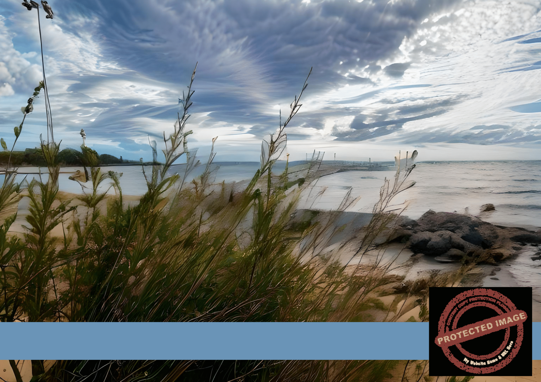 Leeman Jetty View | Coastal Grasses & Sky Art Print