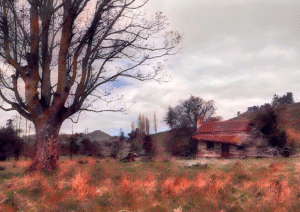Echoes Along the Quiet Field with a decayed cottage