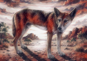 Australian Outback Dingo | Wild Desert Wall Decor