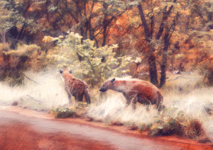 Hyena Pair Digital Print | Exclusive Wildlife Art