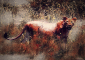 A Lioness in tall, painterly savanna grass