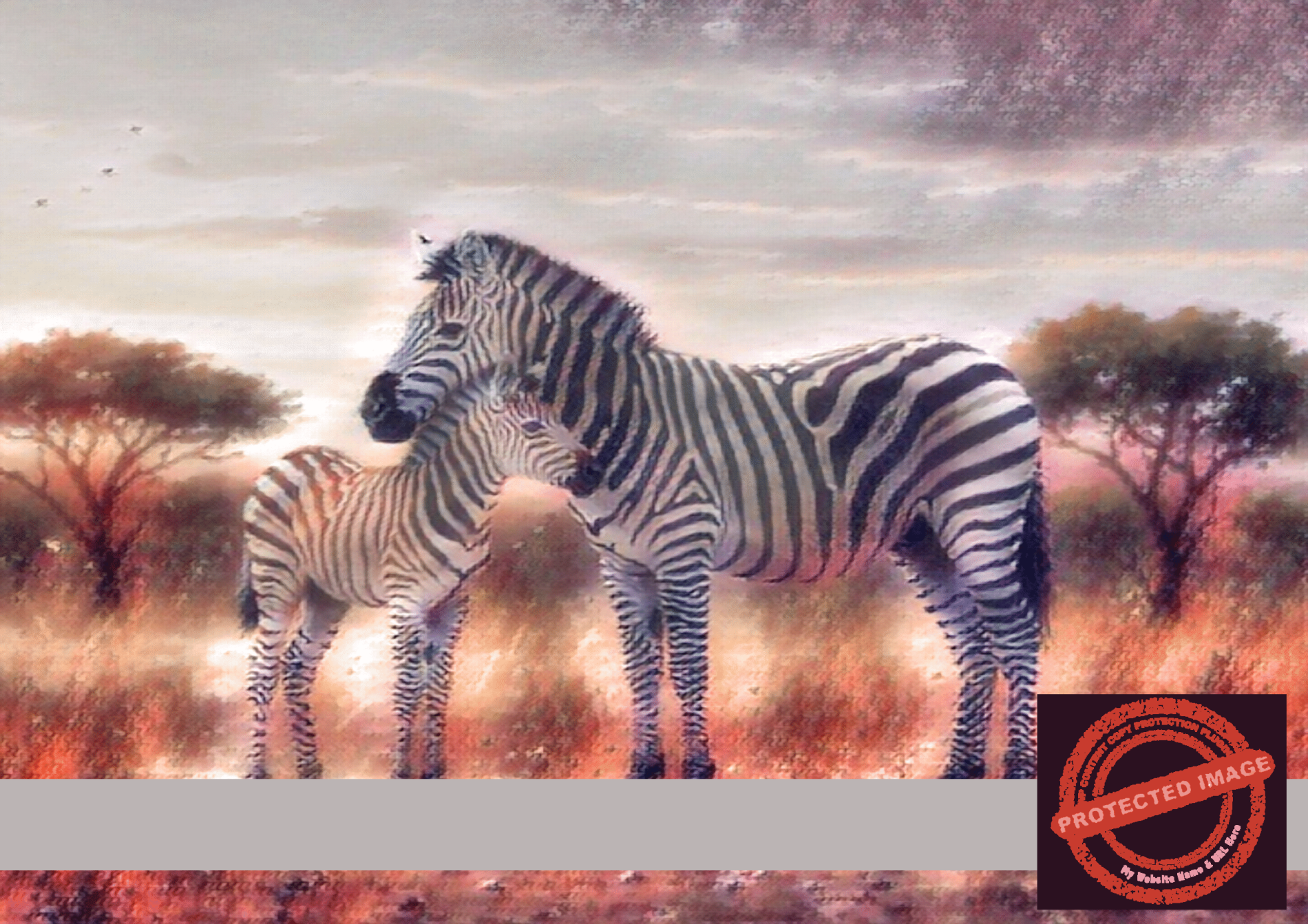 Zebra Affection – Digital Art Print | Savanna Sunset