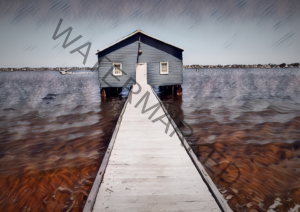 Perth Blue Boat Shed Print | Iconic WA Wall Art